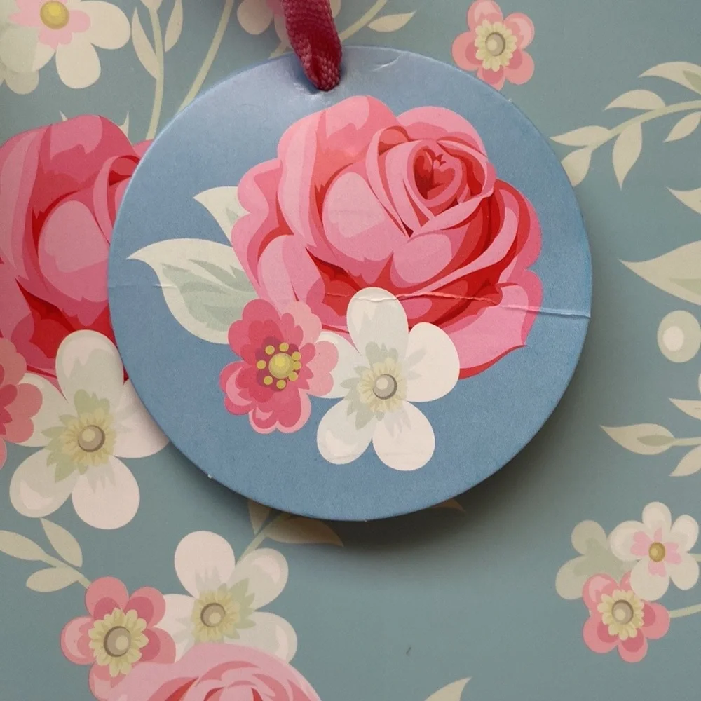 Simply Shabby Chic Set of 6 Gift Bags And Silk Paper Shopping Decor Storage NEW